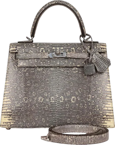 Hermes Kelly Sellier 25 Ombre Varanus Salvator Lizard Palladium Hardware Hermes Kelly Sellier 25 Ombre Varanus Salvator Lizard Palladium Hardware