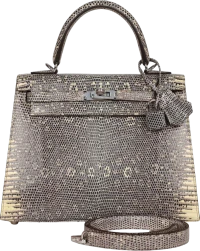 Hermes Kelly Sellier 25 Ombre Varanus Salvator Lizard Palladium Hardware Hermes Kelly Sellier 25 Ombre Varanus Salvator Lizard Palladium Hardware