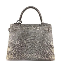 Hermes Kelly Sellier 25 Ombre Varanus Salvator Lizard Palladium Hardware Hermes Kelly Sellier 25 Ombre Varanus Salvator Lizard Palladium Hardware