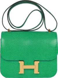 Hermes Mini Constance 18 Menthe Lizard Salvator Gold Hardware Hermes Mini Constance 18 Menthe Lizard Salvator Gold Hardware