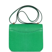 Hermes Mini Constance 18 Menthe Lizard Salvator Gold Hardware Hermes Mini Constance 18 Menthe Lizard Salvator Gold Hardware