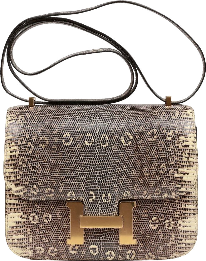 Hermes Mini Constance 18 Ombre Lizard Varanus Salvator Gold Hardware