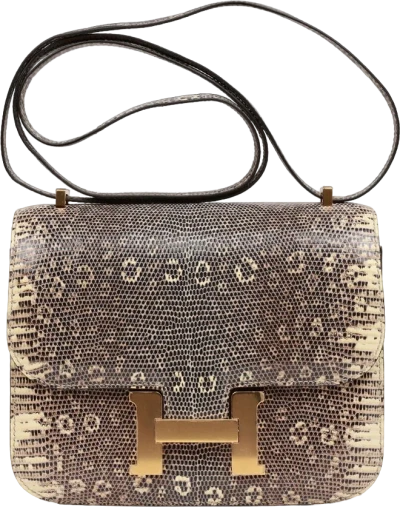 Hermes Mini Constance 18 Ombre Lizard Varanus Salvator Gold Hardware Hermes Mini Constance 18 Ombre Lizard Varanus Salvator Gold Hardware