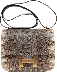 Hermes Mini Constance 18 Ombre Lizard Varanus Salvator Gold Hardware Hermes Mini Constance 18 Ombre Lizard Varanus Salvator Gold Hardware