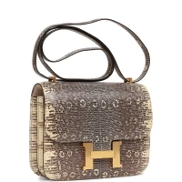 Hermes Mini Constance 18 Ombre Lizard Varanus Salvator Gold Hardware Hermes Mini Constance 18 Ombre Lizard Varanus Salvator Gold Hardware