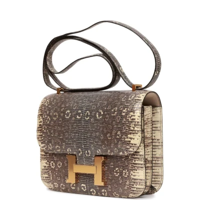 Hermes Mini Constance 18 Ombre Lizard Varanus Salvator Gold Hardware Hermes Mini Constance 18 Ombre Lizard Varanus Salvator Gold Hardware