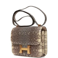 Hermes Mini Constance 18 Ombre Lizard Varanus Salvator Gold Hardware Hermes Mini Constance 18 Ombre Lizard Varanus Salvator Gold Hardware