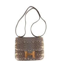 Hermes Mini Constance 18 Ombre Lizard Varanus Salvator Gold Hardware Hermes Mini Constance 18 Ombre Lizard Varanus Salvator Gold Hardware