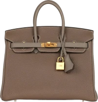 Hermes Special Order (HSS) Birkin 25 Etoupe and Etain Togo Brushed Gold Hardware Hermes Special Order (HSS) Birkin 25 Etoupe and Etain Togo Brushed Gold Hardware