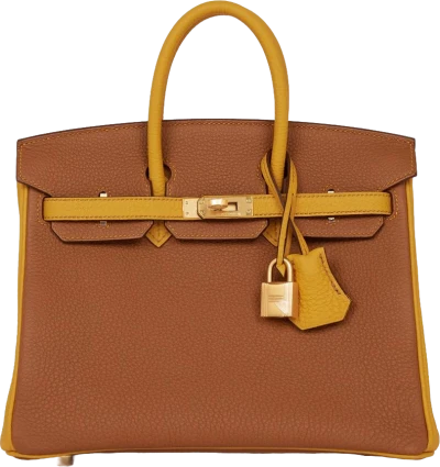 Hermes Special Order (HSS) Birkin 25 Gold and Jaune Ambre Togo Brushed Gold Hardware Hermes Special Order (HSS) Birkin 25 Gold and Jaune Ambre Togo Brushed Gold Hardware