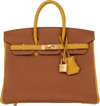 Hermes Special Order (HSS) Birkin 25 Gold and Jaune Ambre Togo Brushed Gold Hardware Hermes Special Order (HSS) Birkin 25 Gold and Jaune Ambre Togo Brushed Gold Hardware