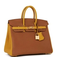 Hermes Special Order (HSS) Birkin 25 Gold and Jaune Ambre Togo Brushed Gold Hardware Hermes Special Order (HSS) Birkin 25 Gold and Jaune Ambre Togo Brushed Gold Hardware