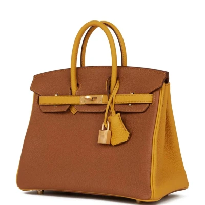 Hermes Special Order (HSS) Birkin 25 Gold and Jaune Ambre Togo Brushed Gold Hardware Hermes Special Order (HSS) Birkin 25 Gold and Jaune Ambre Togo Brushed Gold Hardware
