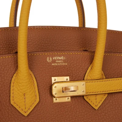 Hermes Special Order (HSS) Birkin 25 Gold and Jaune Ambre Togo Brushed Gold Hardware Hermes Special Order (HSS) Birkin 25 Gold and Jaune Ambre Togo Brushed Gold Hardware