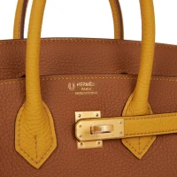 Hermes Special Order (HSS) Birkin 25 Gold and Jaune Ambre Togo Brushed Gold Hardware Hermes Special Order (HSS) Birkin 25 Gold and Jaune Ambre Togo Brushed Gold Hardware