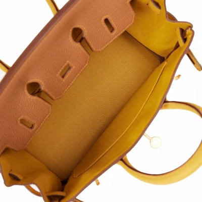 Hermes Special Order (HSS) Birkin 25 Gold and Jaune Ambre Togo Brushed Gold Hardware Hermes Special Order (HSS) Birkin 25 Gold and Jaune Ambre Togo Brushed Gold Hardware