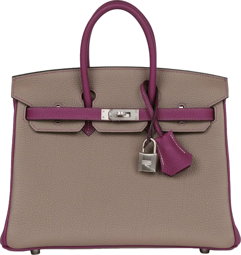 Hermes Special Order (HSS) Birkin 25 Gris Asphalte and Anenome Togo Brushed Palladium Hardware