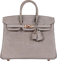 Hermes Special Order (HSS) Birkin 25 Gris Perle Verso Matte Alligator Rose Gold Hardware Hermes Special Order (HSS) Birkin 25 Gris Perle Verso Matte Alligator Rose Gold Hardware