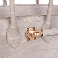 Hermes Special Order (HSS) Birkin 25 Gris Perle Verso Matte Alligator Rose Gold Hardware Hermes Special Order (HSS) Birkin 25 Gris Perle Verso Matte Alligator Rose Gold Hardware