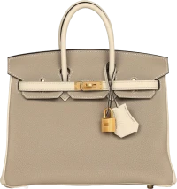 Hermes Special Order (HSS) Birkin 25 Gris Tourterelle and Craie Togo Brushed Gold Hardware Hermes Special Order (HSS) Birkin 25 Gris Tourterelle and Craie Togo Brushed Gold Hardware