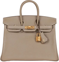 Hermes Special Order (HSS) Birkin 25 Gris Tourterelle Verso Chevre Brushed Gold Hardware Hermes Special Order (HSS) Birkin 25 Gris Tourterelle Verso Chevre Brushed Gold Hardware