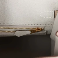 Hermes Special Order (HSS) Birkin 25 Gris Tourterelle Verso Chevre Brushed Gold Hardware Hermes Special Order (HSS) Birkin 25 Gris Tourterelle Verso Chevre Brushed Gold Hardware