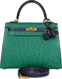 Hermes Special Order (HSS) Kelly Sellier 25 Vert Vertigo and Bleu Iris Ostrich Brushed Gold Hardware Hermes Special Order (HSS) Kelly Sellier 25 Vert Vertigo and Bleu Iris Ostrich Brushed Gold Hardware