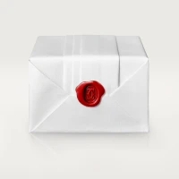 Cartier LOVE