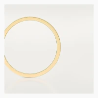 Cartier LOVE