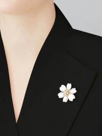 Van Cleef & Arpels Брошь-подвеска Rose de Noël