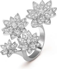 Van Cleef & Arpels - Van Cleef & Arpels -