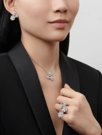 Van Cleef & Arpels - Van Cleef & Arpels -