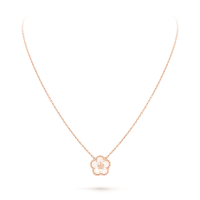 Van Cleef & Arpels Подвеска Lucky Spring