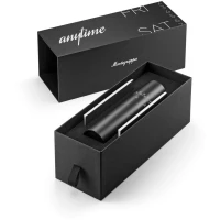 Montegrappa anytime Maestro Pen