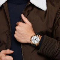 IWC Ingenieur Perpetual Calendar Digital Date-Month IWC Ingenieur Perpetual Calendar Digital Date-Month