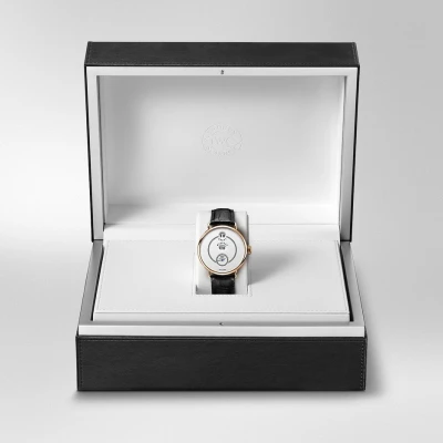 IWC Tribute to Pallweber Edition «150 Years» IWC Tribute to Pallweber Edition «150 Years»