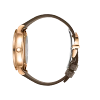 IWC Portofino Automatic Moon Phase 37 IWC Portofino Automatic Moon Phase 37