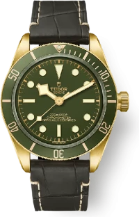Tudor Black Bay Tudor Black Bay
