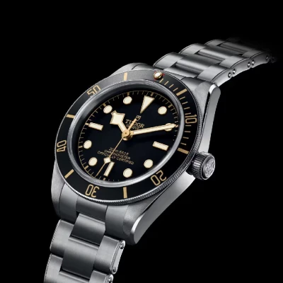 Tudor Black Bay