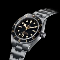 Tudor Black Bay