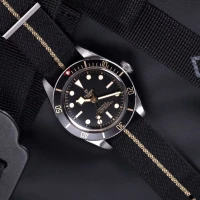 Tudor Black Bay