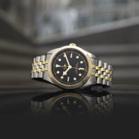 Tudor Black Bay Tudor Black Bay