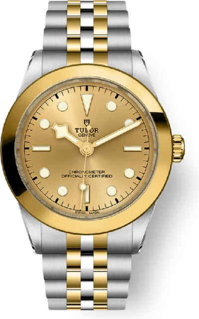 Tudor Black Bay