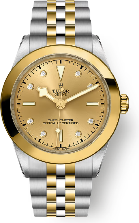 Tudor Black Bay Tudor Black Bay