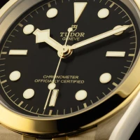 Tudor Black Bay Tudor Black Bay