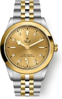 Tudor Black Bay Tudor Black Bay