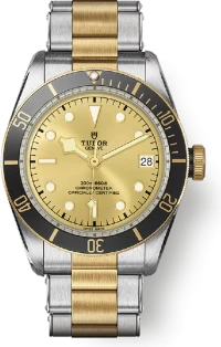 Tudor Black Bay Tudor Black Bay