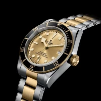 Tudor Black Bay Tudor Black Bay
