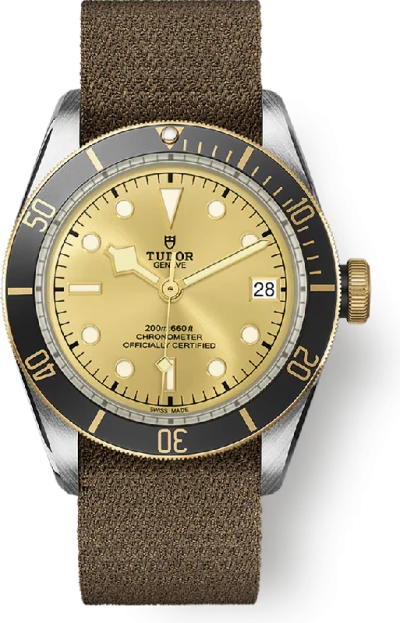Tudor