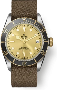 Tudor Black Bay Tudor Black Bay